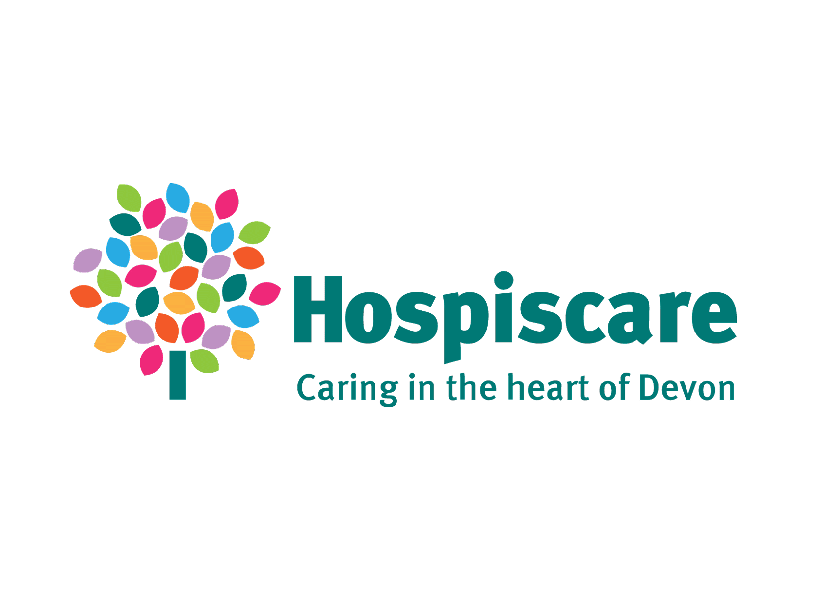 hospiscare icon