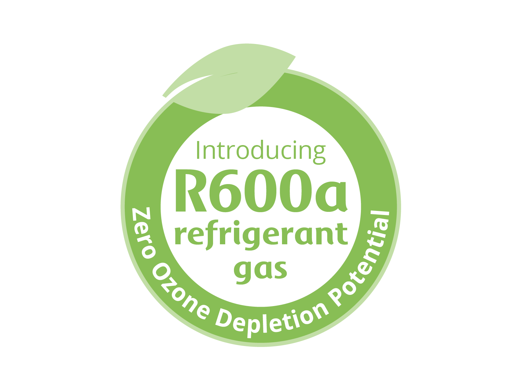 environmental r600